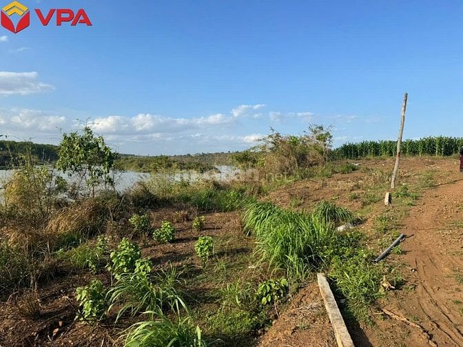 Thông báo đấu giá tài sản bảo đảm của bà Trần Trân Thanh Vân 