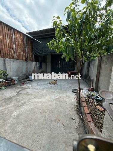Chỉ 1,7 tỉ NHÀ CẤP 4 NGANG 5X20M VUÔNG VỨC KHÔNG LỖI PHONG THỦY