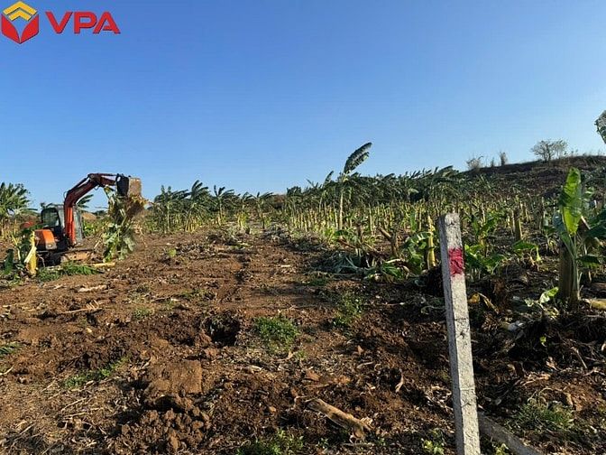 Thông báo đấu giá tài sản bảo đảm của bà Trần Trân Thanh Vân 