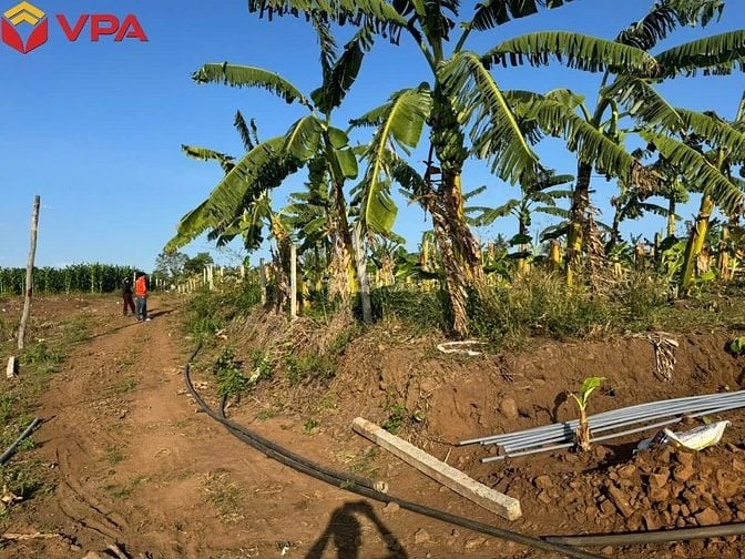 Thông báo đấu giá tài sản bảo đảm của bà Trần Trân Thanh Vân 