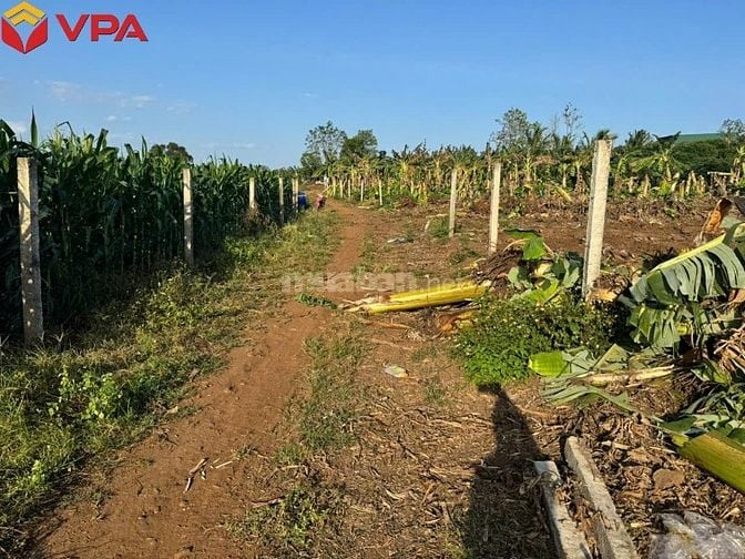 Thông báo đấu giá tài sản bảo đảm của bà Trần Trân Thanh Vân 