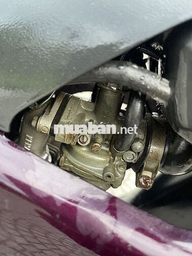 Honda Dream màu Đỏ mận