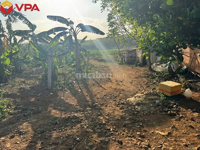 Thông báo đấu giá tài sản bảo đảm của bà Trần Trân Thanh Vân 