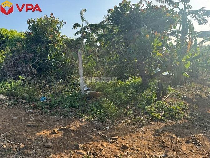 Thông báo đấu giá tài sản bảo đảm của bà Trần Trân Thanh Vân 
