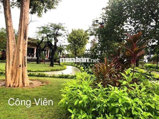 Cho Thuê Nhà KĐT Mỹ Gia Gói 8 Full Nội Thất