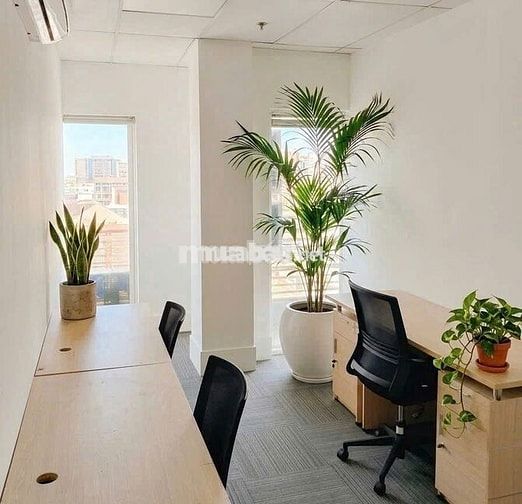 ✨ CHO THUÊ TÒA NHÀ BUILDING MẶT TIỀN ĐƯỜNG HAI BÀ TRƯNG MB 26M QUẬN 1✨
