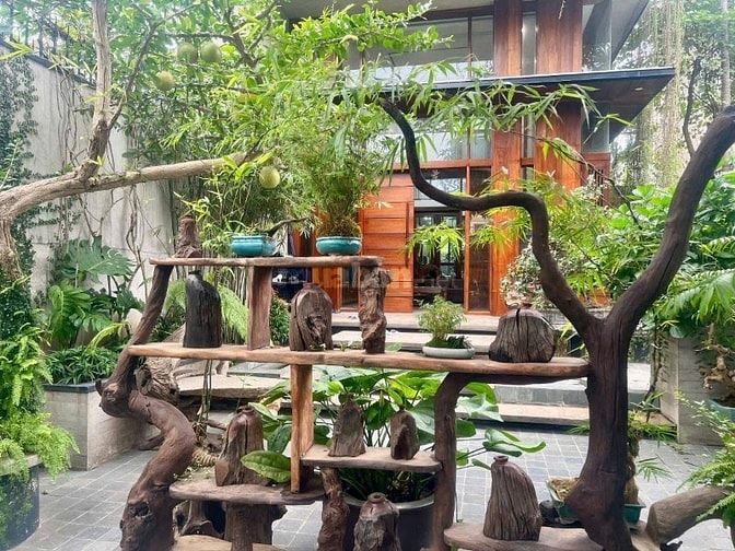 Biệt Thự Liễu Giai 400m2 Thổ Cư - Ở Cực Thích - Ô Tô - Sát Phố 