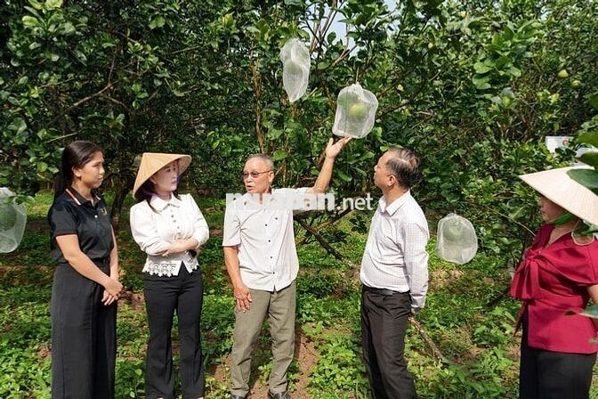 [Bến Tre] NHÂN VIÊN VÙNG TRỒNG