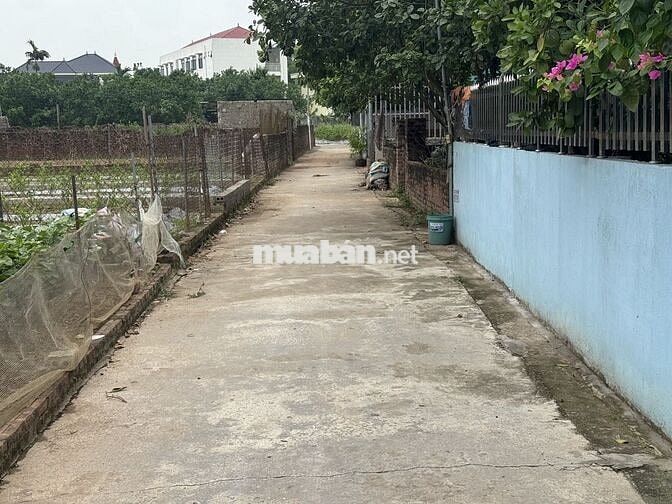 🔥BÁN ĐẤT VĨNH TUY - LIÊN NGHĨA🔥 NGÕ RỘNG THOÁNG CR-V ĐI ĐÁNH VÕNG