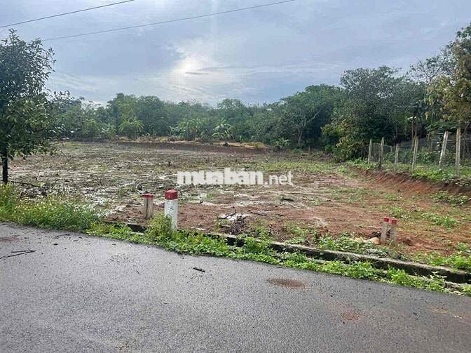 bán đất nền giá rẻ vùng ven tp Hồ Chí Minh