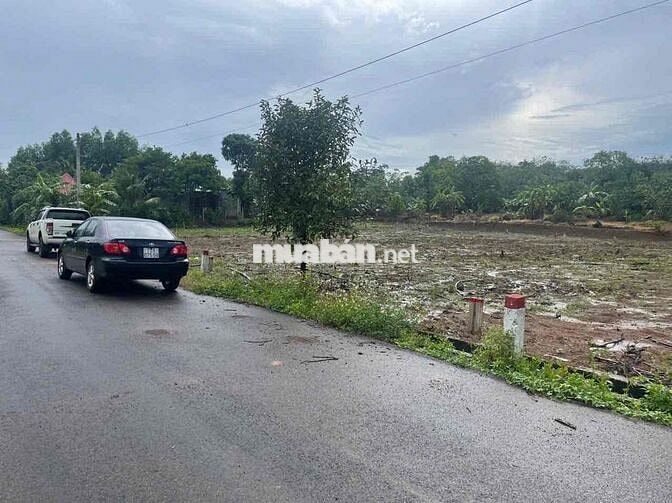 bán đất nền giá rẻ vùng ven tp Hồ Chí Minh