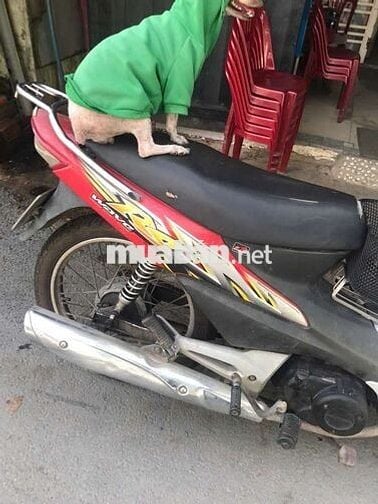 Honda Wave Đỏ, Trắng, Đen