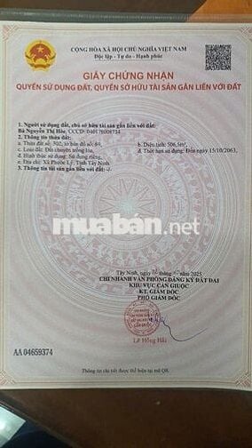  BÁN ĐẤT VƯỜN – BỜ HỦ TÍU, PHƯỚC HẬU, CẦN GIUỘC (LONG AN) 
