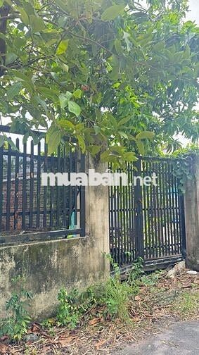 🔥 ĐẤT MẶT TIỀN ĐƯỜNG NHỰA XE TẢI – HƯNG LONG, BÌNH CHÁNH 🔥