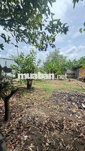 🔥 ĐẤT MẶT TIỀN ĐƯỜNG NHỰA XE TẢI – HƯNG LONG, BÌNH CHÁNH 🔥