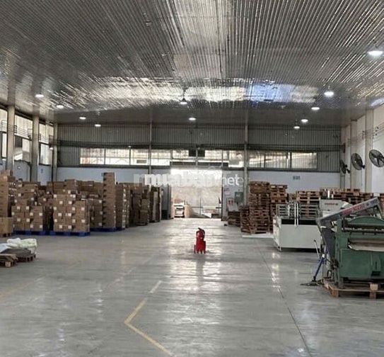 Cho thuê kho Nguyễn Hữu Thọ – 1.500m2 – sàn epoxy – container 24/7