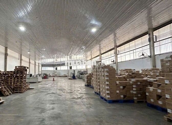 Cho thuê kho Nguyễn Hữu Thọ – 1.500m2 – sàn epoxy – container 24/7