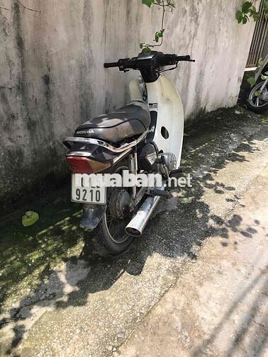 Honda Xe máy màu Trắng, Đen