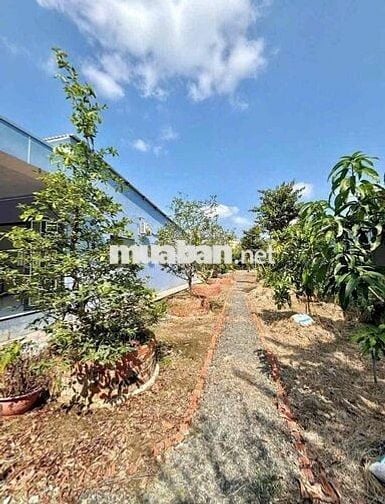 Chính chủ cần bán gấp đất để xoay sở