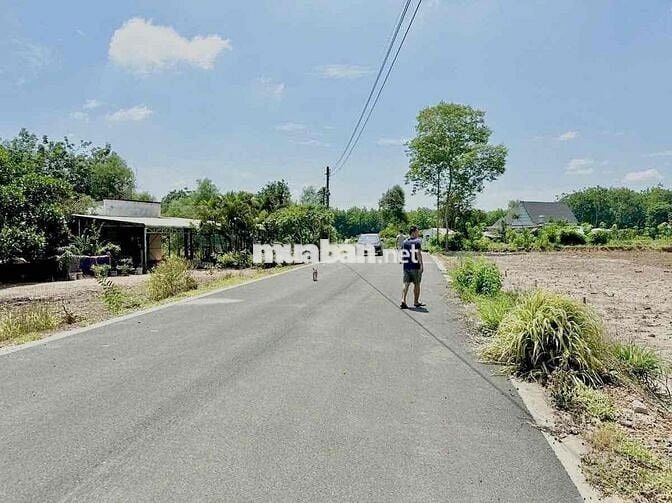 🔥1346M² ĐẤT VƯỜN MÍT ĐANG THU HOẠCH SÁT KCN CHƠN THÀNH 1 🔥