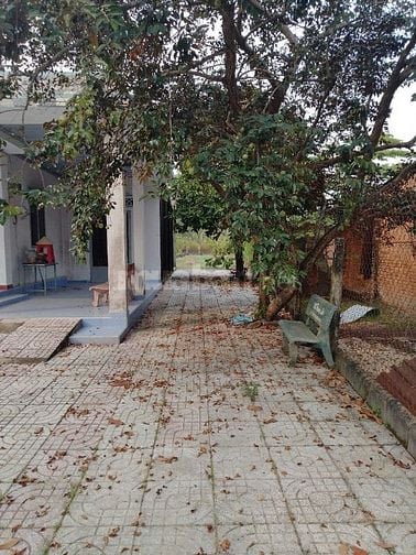 Bán đất mặt tiền Số 1 đường Lâm Thị Giữa, Xã An Nhơn Tây, TP.HCM