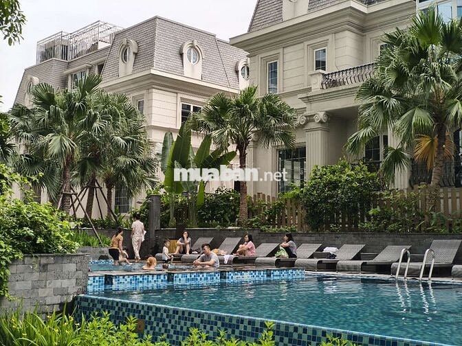 Cho thuê Condotel Saphhire s2 Hạ Long