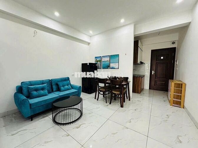 cho thuê căn hộ cc mini ngõ 110 trân duy Hưng Dt 30 m