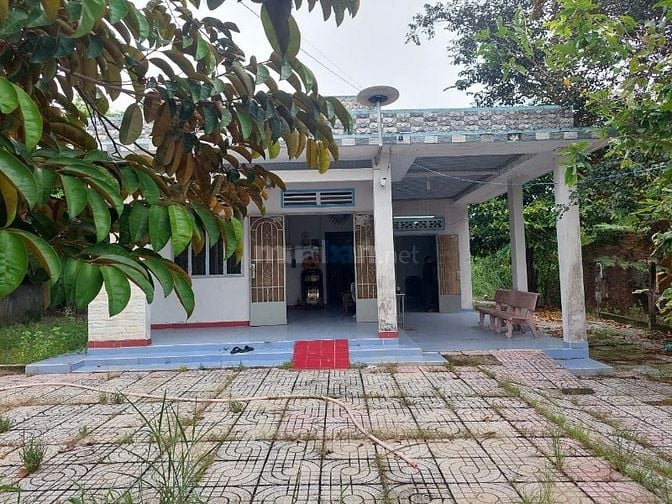Bán đất mặt tiền Số 1 đường Lâm Thị Giữa, Xã An Nhơn Tây, TP.HCM