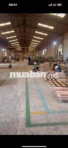 Cần sang nhượng lại 12500m2, có sẵn xưởng gỗ,giá 65 tỷ, đường xe công