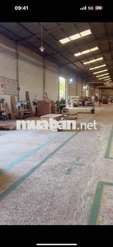 Cần sang nhượng lại 12500m2, có sẵn xưởng gỗ,giá 65 tỷ, đường xe công