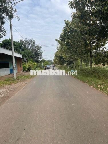 Cần sang nhượng lại 12500m2, có sẵn xưởng gỗ,giá 65 tỷ, đường xe công