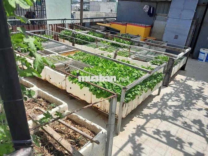 CHÍNH CHỦ BÁN NHÀ KHU CĂN CỨ 26