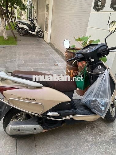 Honda Lead Vàng cát