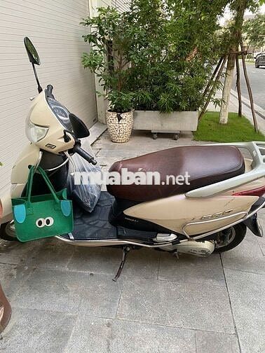 Honda Lead Vàng cát