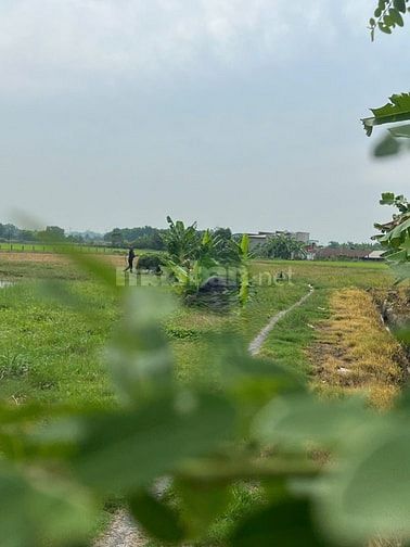 Đất vườn 500m - Sổ riêng - Yên tĩnh phù hợp nghỉ dưỡng