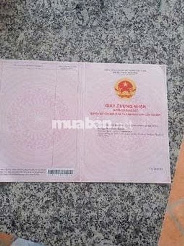 🏡 BÁN NHÀ ĐẤT KÈM PHÒNG TRỌ – VỊ TRÍ ĐẸP TP. TÂN AN