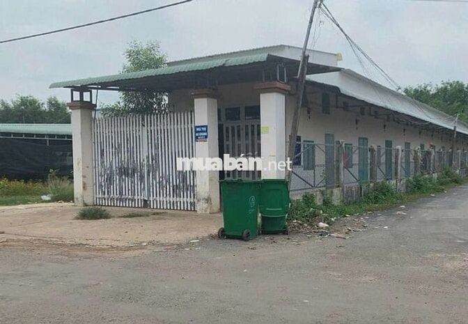 Bán nhà dãy trọ tại QL 22, 723tr, 175m2, pháp lý đầy đủ