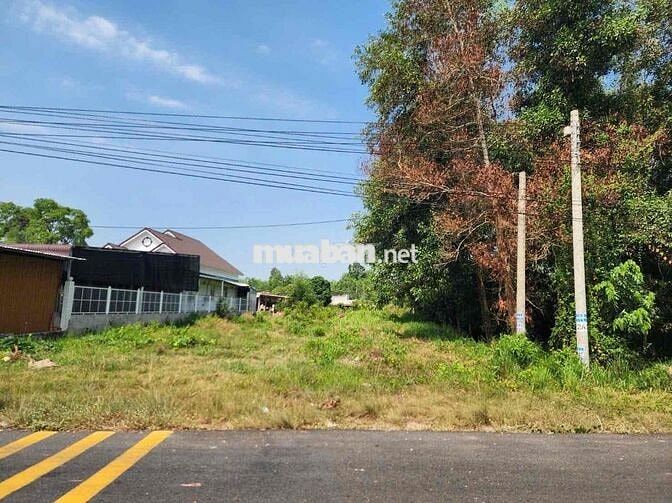 Bán gấp lô đất 500m2/570Triệu sát chợ Trừ Văn Thố,Bàu Bàng giá mềm