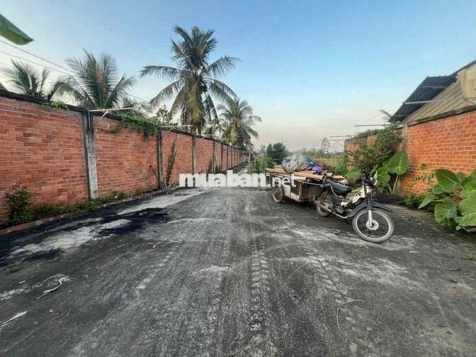 Cần bán gấp 1 hec đất có thổ cư Đồng Tháp, giá siêu rẻ