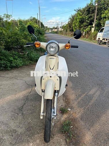 Honda Cub 50cc Trắng kem