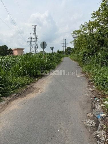 Chính chủ cho thuê đất đã có nhà trạm 100m2.