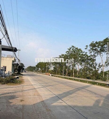 Siêu phẩm - Bán đất An Cư, xã Định Hoá, Ninh Bình, diện tích 141.9m2