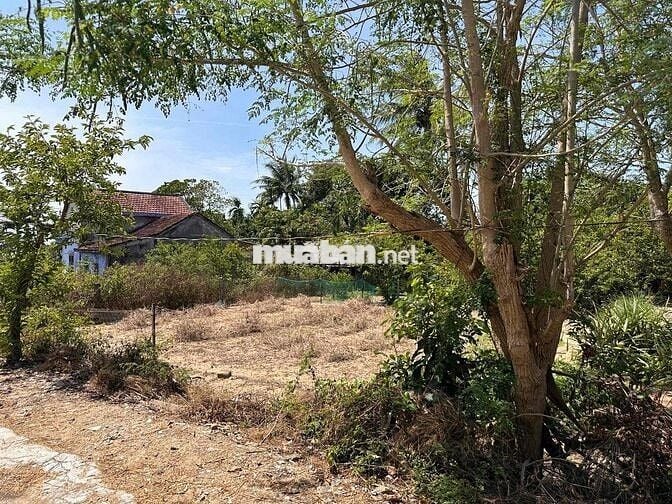 Cần Bán Lô Đất Diện Tích Lớn - Gần Hội An