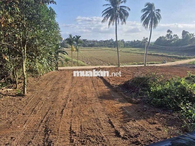 .. 💥💥 siêu phẩm cực hiếm : gần 240m2 , 200m đất ở