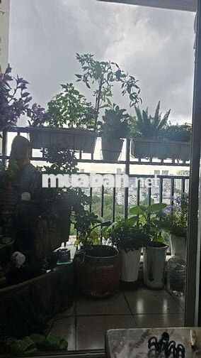 Cho thuê căn hộ 70m2 tầng 14 chung cư 4S Linh Đông, nội thất đầy đủ