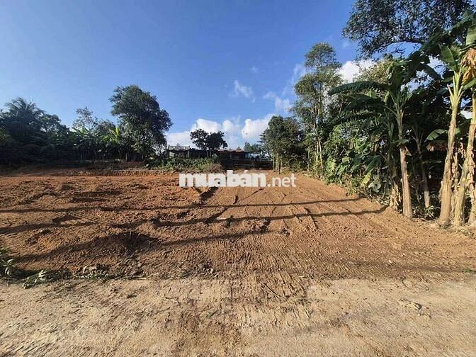 .. 💥💥 siêu phẩm cực hiếm : gần 240m2 , 200m đất ở