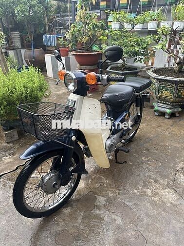 Honda Super Cub Xanh trắng