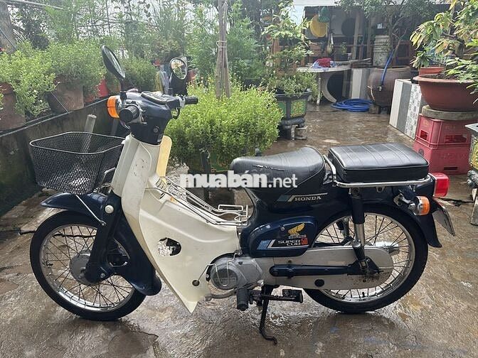 Honda Super Cub Xanh trắng