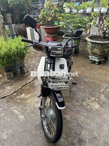 Honda Dream II Nâu trắng