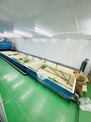 MẶT TIỀN KINH DOANH – HOÀNG SA, QUẬN 3 – 179M2 – 5 TẦNG CHỈ 38 TỶ